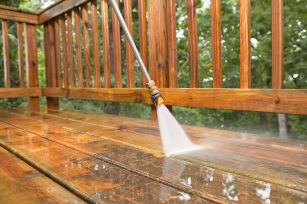 Best Fence Cleaning  in Springdale, AR